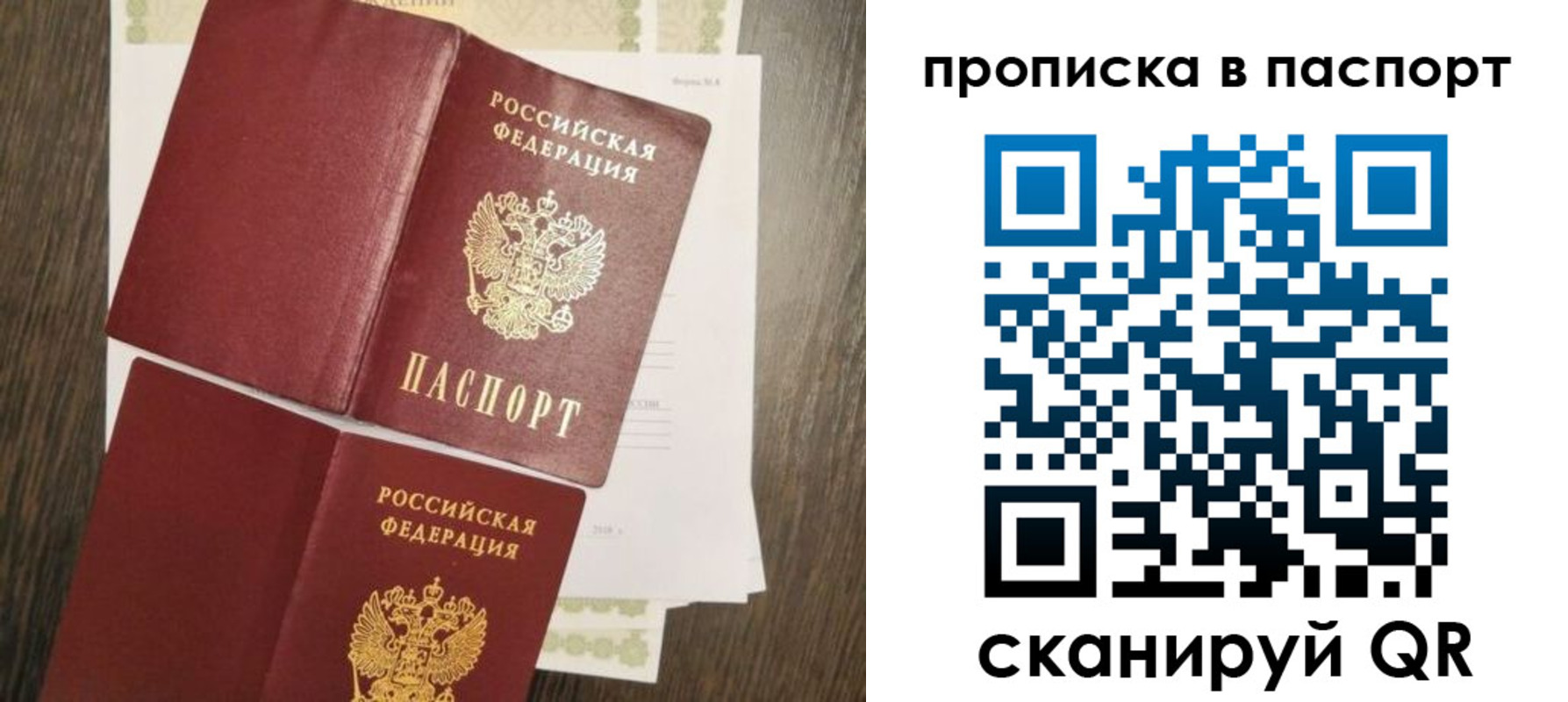прописка гарантия в Мурманской области