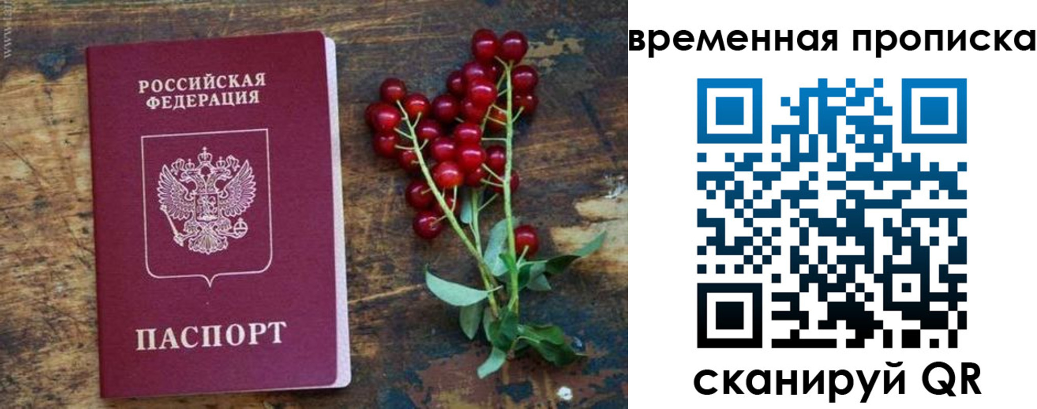 временная регистрация гарантия в Мурманской области